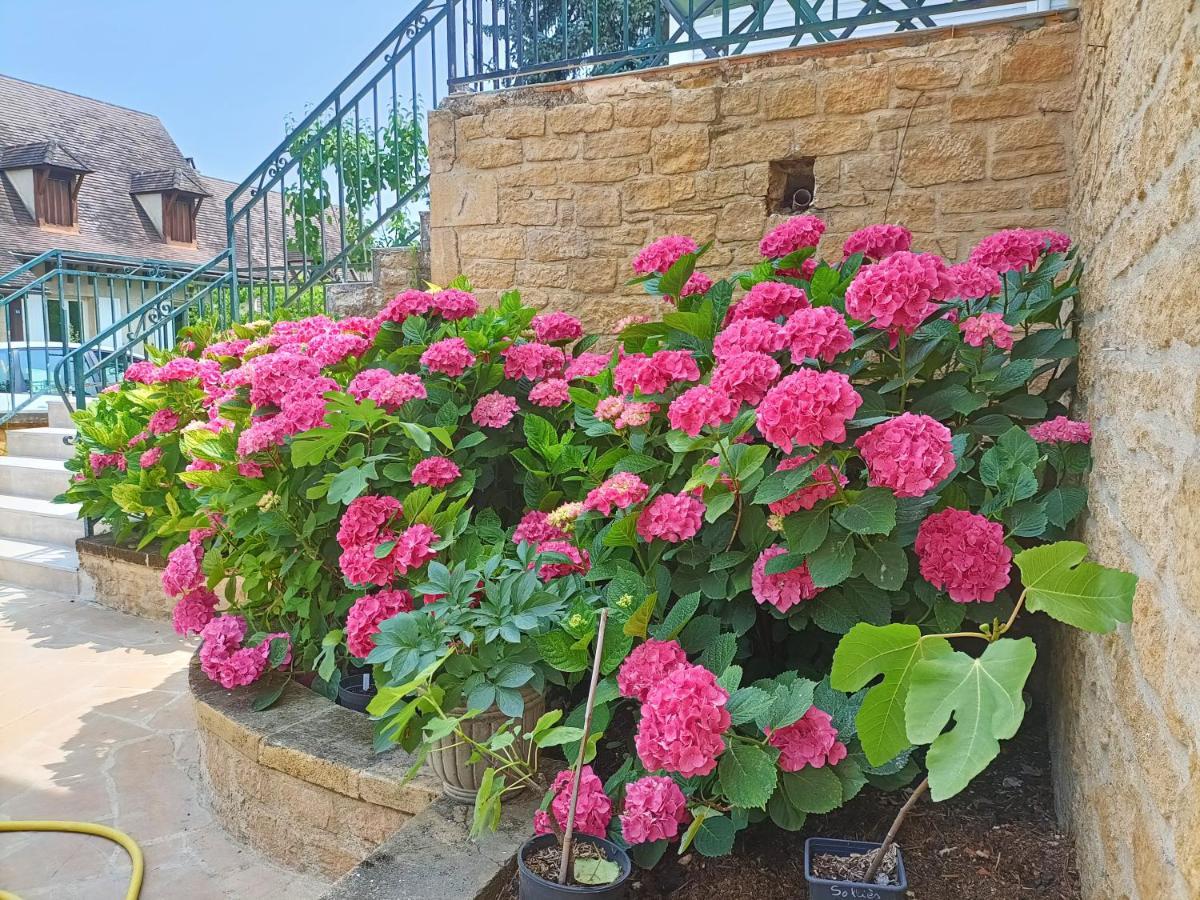 La Villa Perigourdine Sarlat-la-Canéda Exterior foto